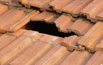 roof repair Lustleigh Cleave, Devon